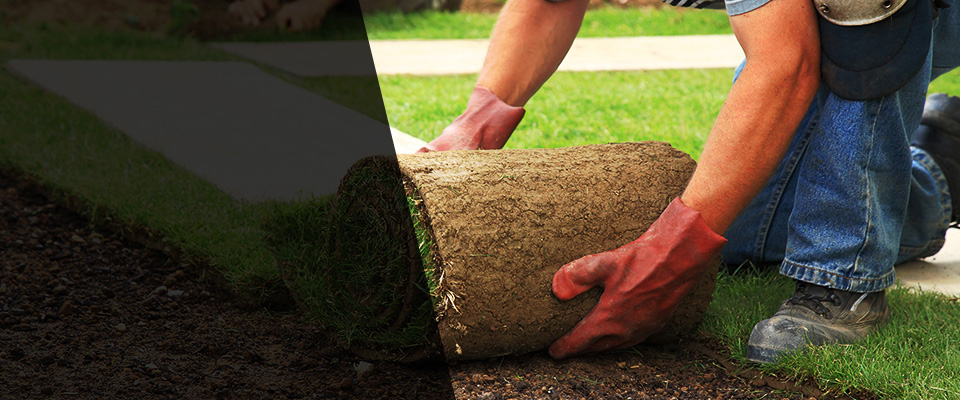 Pounding Mill Landscapers